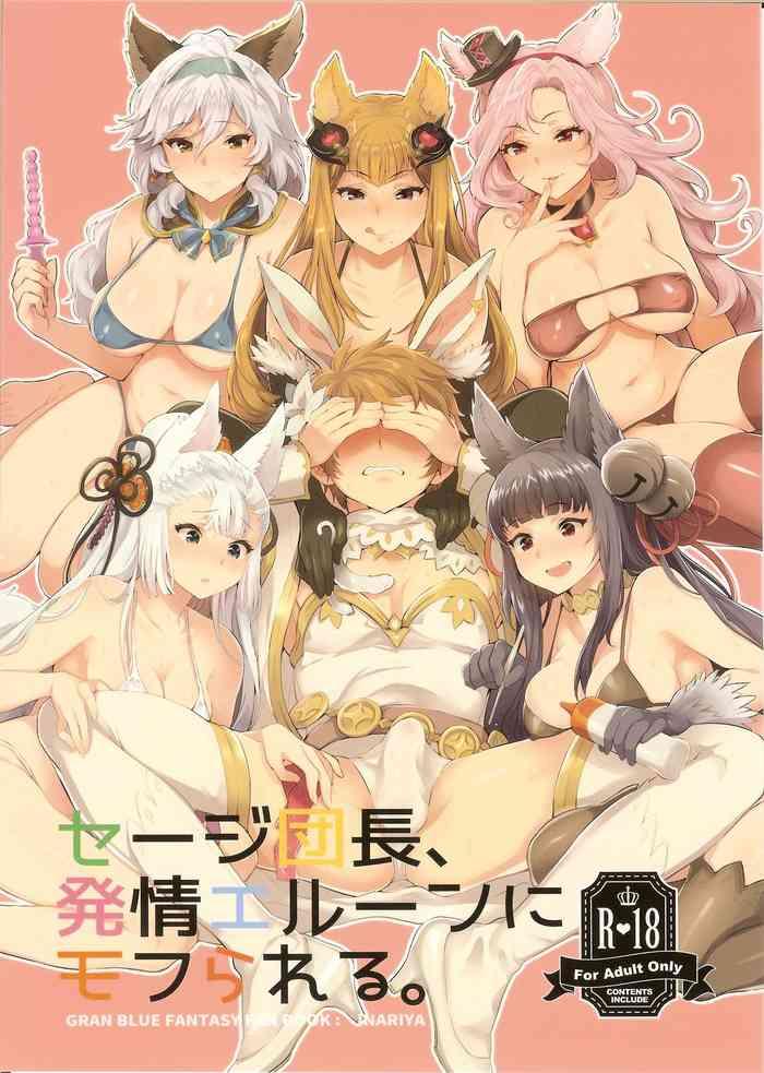 Gudao hentai Sage Danchou, Hatsujou Elune ni Mofurareru.- Granblue fantasy hentai Ropes & Ties