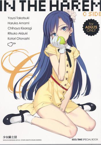 Dick IN THE HAREM C SIDE- The idolmaster hentai Swallow